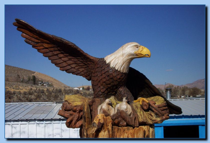2-18 eagle with wings out, attached -archive-0002